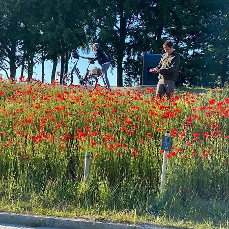Tini Am Strandzugang Mit Wlan Inklusive, Keine Haustiere 아파트